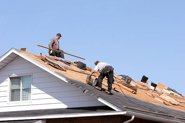 Roof Maintenance